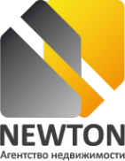 Логотип компании Newton