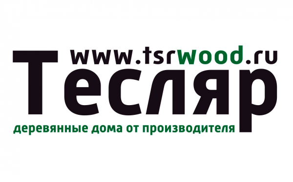 Логотип компании Тесляр