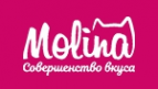 Логотип компании MOLINA
